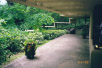 [Picture of Fallingwater guest house walk]