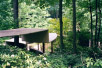 [Picture of Fallingwater covered walk from main house to guest house]