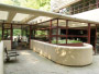 [Picture of Fallingwater southeast terrace]