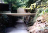 [Picture of Fallingwater driveway and entrance]